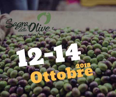 Sannicandro, torna la Sagra delle Olive: il programma